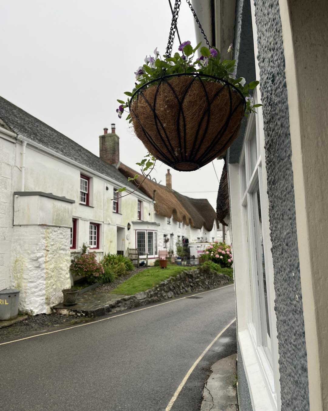 Street view with hanging basket